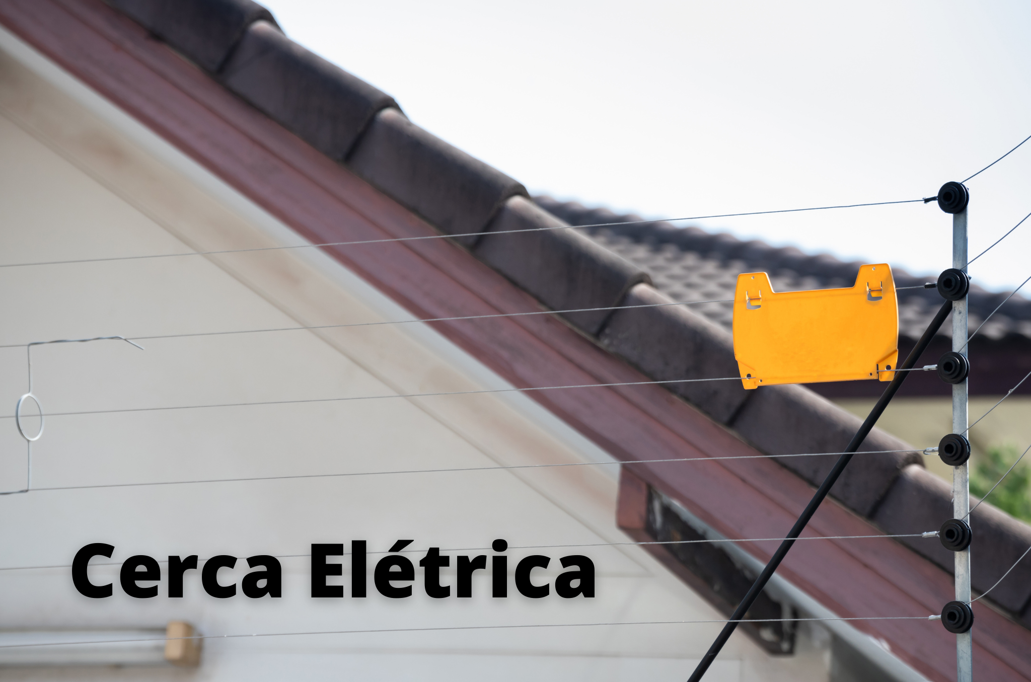 Cerca Elétrica